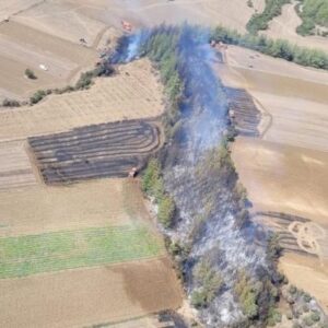 adanada orman yangini mdejIgDh