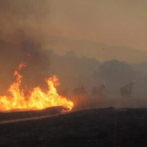 californiada yangin 2 bin 700 kisi tahliye edildi M1u3fSxp