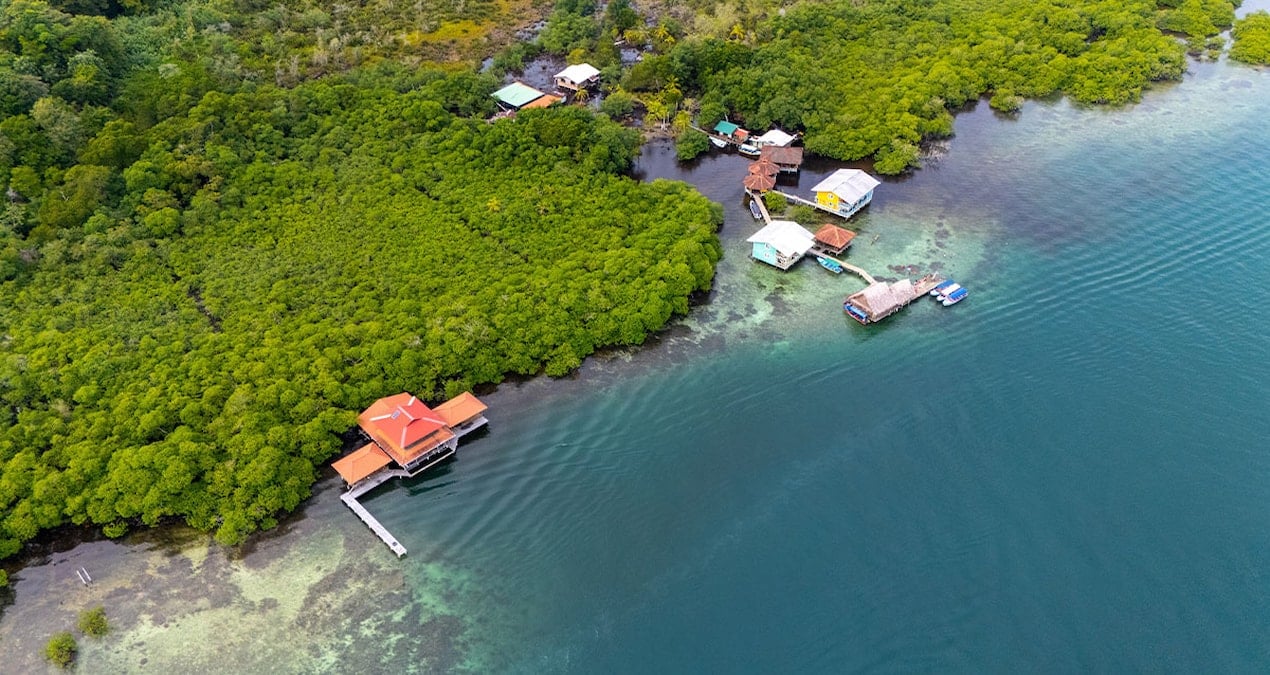 40 yil sonra ilk kez basarisiz oldu okyanuslarin kalp atisi durdu m89WCUtP