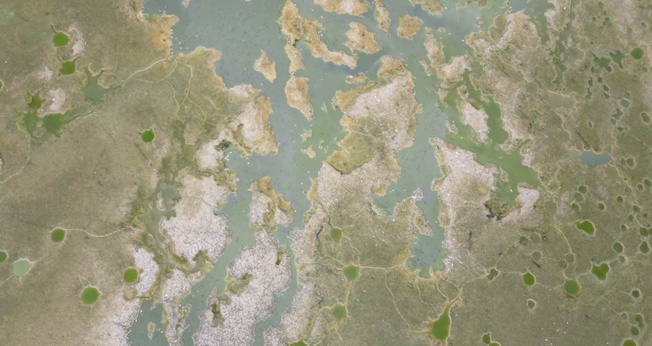 yesilsirt goleti kuruma noktasina geldi PQb4MBQN