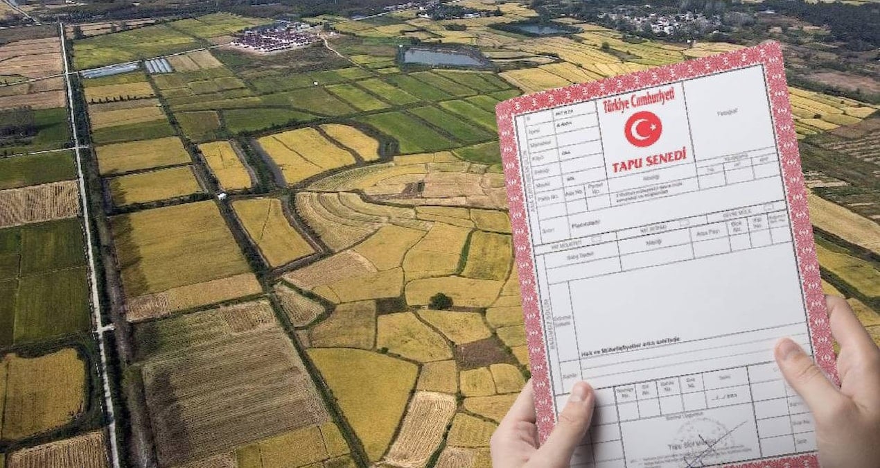 13 bin lirasi olan tapu sahibi olacak milli emlaktan dev arsa firsati IN6CgXgp.jpg