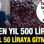 35 yillik esnaf isyan etti gecen yil kilosu 500 liraydi bu yil 50 liraya IeKlcgSm