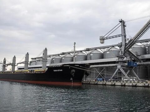 Haber gorseli